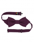 LEPIDOLITE - ECOBLEND - BOW TIE - PLUM