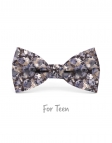 TAHOE - KID or TEEN BOW TIE - BLUE & BROWN