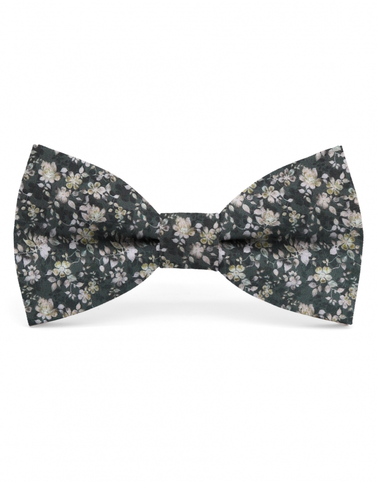 LUCAS - NOEUD PAPILLON FLEURI - CLASSIC - VERT & BEIGE