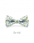BELAIR - KID or TEEN BOW TIE - BLUE & GREEN