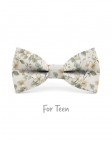 WESTMOUNT - KID or TEEN BOW TIE - SAGE GREEN & BEIGE