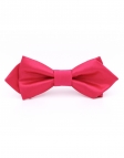 Fuxia Silk Bow Tie