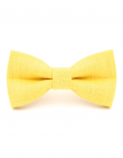 Mimosa LINEN BOW TIE